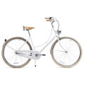 3 Speed Retro Dutchie Bike